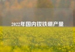 2022年國內(nèi)釹鐵硼產(chǎn)量