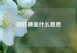 釹鐵硼是什么意思