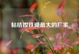 粘結釹鐵硼最大的廠家