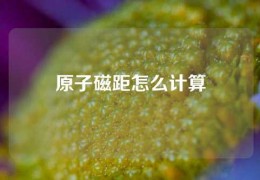 原子磁距怎么計(jì)算