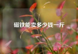 磁鐵能賣多少錢一斤