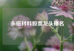 永磁材料股票龍頭排名