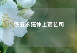 鐵氮永磁體上市公司