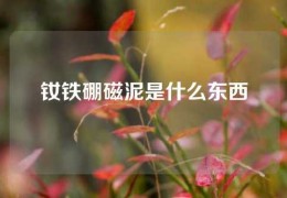 釹鐵硼磁泥是什么東西