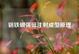 鋁鐵硼強(qiáng)磁注射成型原理