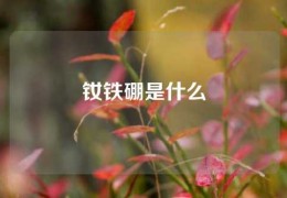 釹鐵硼是什么