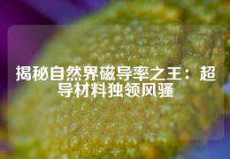 揭秘自然界磁導率之王：超導材料獨領風騷