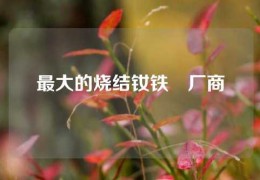 最大的燒結釹鐵錋廠商