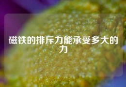 磁鐵的排斥力能承受多大的力