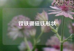 釹鐵硼磁鐵形狀