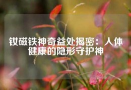 釹磁鐵神奇益處揭密：人體健康的隱形守護(hù)神