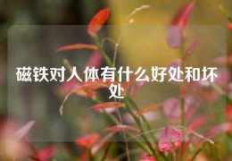 磁鐵對人體有什么好處和壞處