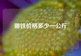 硼鐵價格多少一公斤