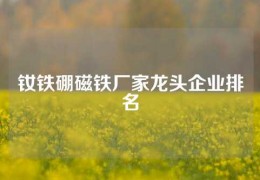 釹鐵硼磁鐵廠家龍頭企業(yè)排名