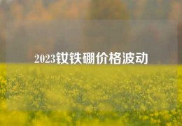 2023釹鐵硼價格波動