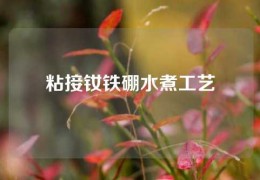 粘接釹鐵硼水煮工藝