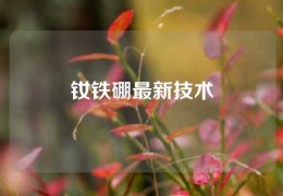 釹鐵硼最新技術(shù)