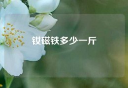 釹磁鐵多少一斤