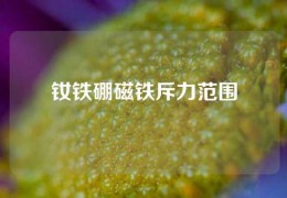 釹鐵硼磁鐵斥力范圍