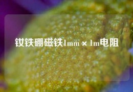 釹鐵硼磁鐵1mm×1m電阻