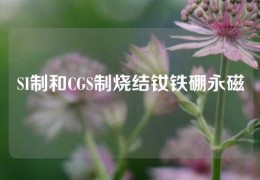 SI制和CGS制燒結釹鐵硼永磁