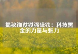 揭秘銣汝釹強(qiáng)磁鐵：科技黑金的力量與魅力