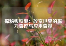 探秘釹鐵硼：改變世界的磁力奇跡與應(yīng)用奇觀