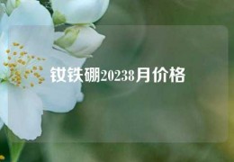 釹鐵硼20238月價格