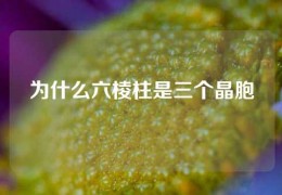 為什么六棱柱是三個晶胞