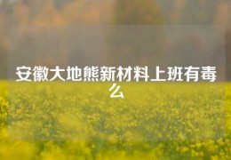 安徽大地熊新材料上班有毒么