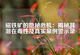 磁鐵礦的隱秘危機：揭秘其潛在毒性及真實案例警示錄