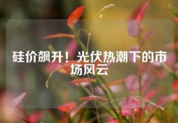 硅價(jià)飆升！光伏熱潮下的市場(chǎng)風(fēng)云