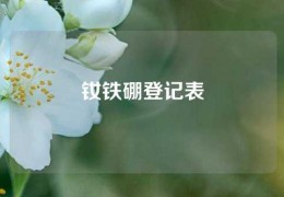 釹鐵硼登記表