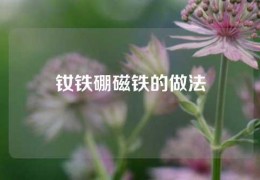 釹鐵硼磁鐵的做法