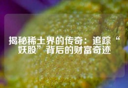 揭秘稀土界的傳奇：追蹤“妖股”背后的財(cái)富奇跡