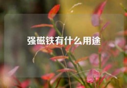 強磁鐵有什么用途