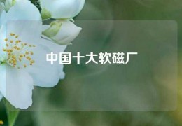 中國十大軟磁廠