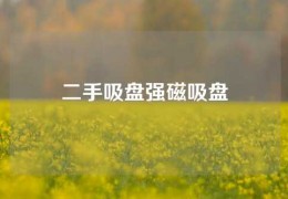 二手吸盤強(qiáng)磁吸盤