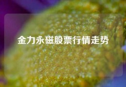 金力永磁股票行情走勢