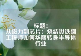 標題：
從磁力到芯片：燒結(jié)釹鐵硼工程師如何華麗轉(zhuǎn)身半導體行業(yè)