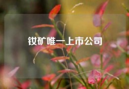 釹礦唯一上市公司