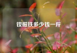 釹磁鐵多少錢一斤