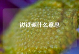 釹鐵硼什么意思