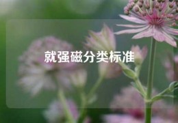 就強磁分類標(biāo)準(zhǔn)