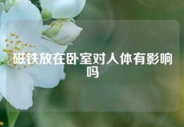 磁鐵放在臥室對人體有影響嗎