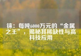 錸：每噸6000萬(wàn)元的“金屬之王”，揭秘其稀缺性與高科技應(yīng)用