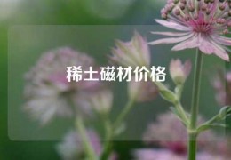 稀土磁材價格