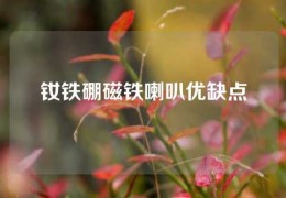 釹鐵硼磁鐵喇叭優缺點