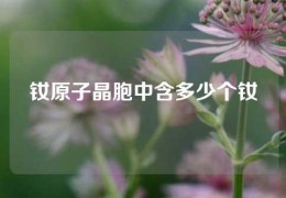 釹原子晶胞中含多少個釹