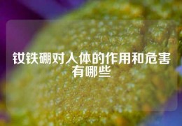 釹鐵硼對人體的作用和危害有哪些